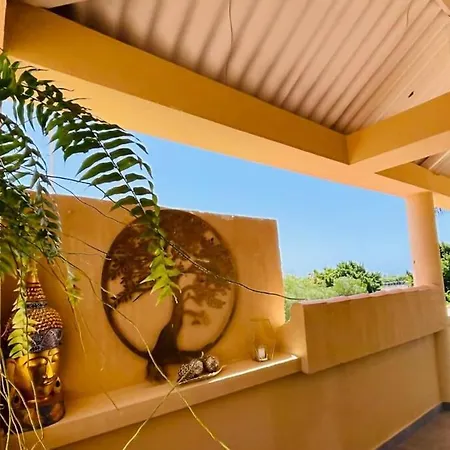 Oasis Penthouse Маспаломас